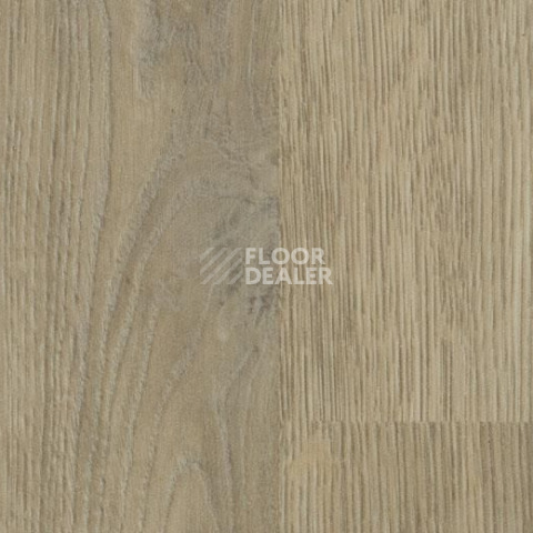 Линолеум Forbo SureStep Wood 18962 whitewash oak фото 1 | FLOORDEALER